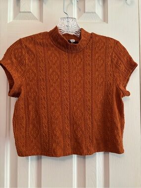 Freshman Rust Textured Mock-Neck Crop Top